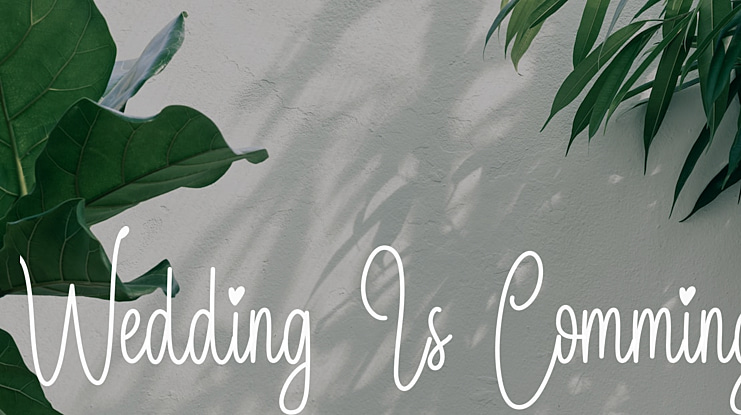 Wedding Is Comming Font