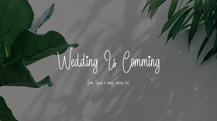 Wedding Is Comming Font