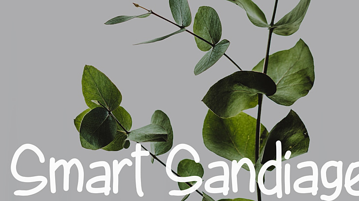 Smart Sandiage Font