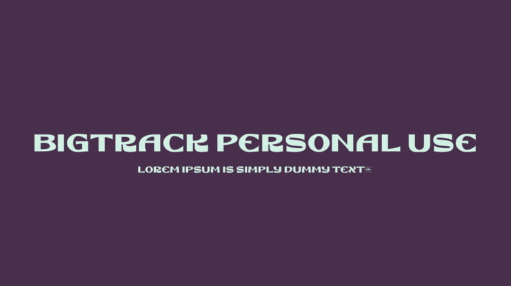 Bigtrack Personal Use Font