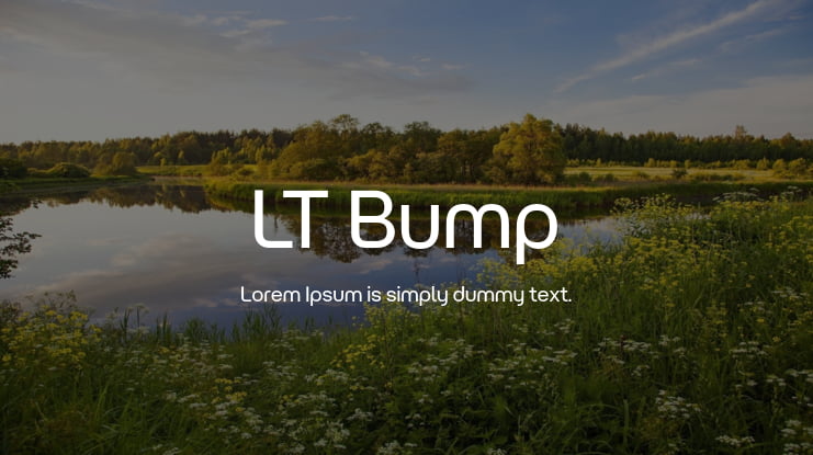 LT Bump Font Family