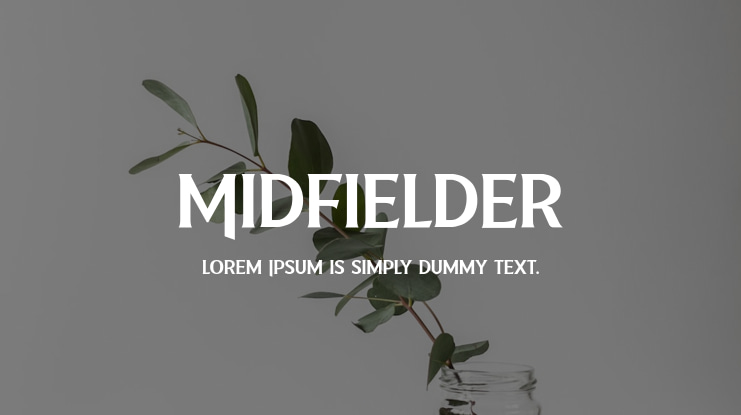 Midfielder Font