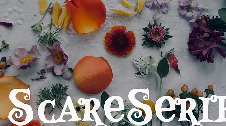 ScareSerif Font