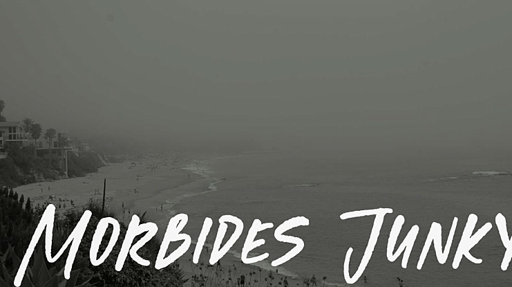 Morbides Junky Font