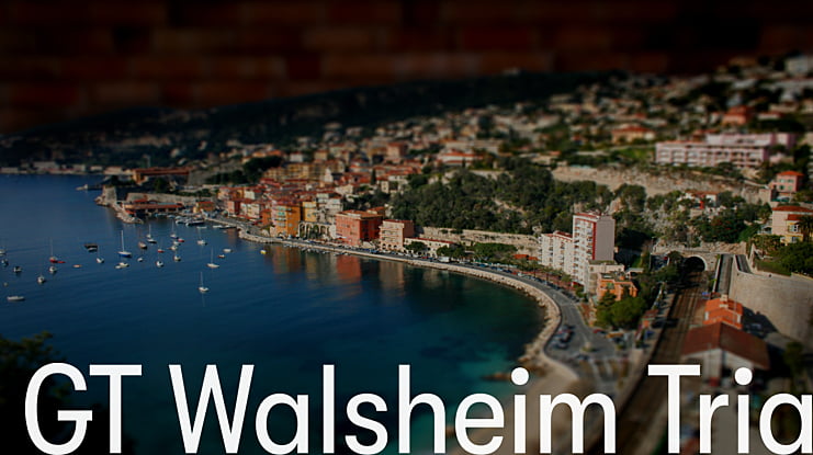 GT Walsheim Trial Font Family