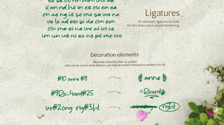 Seashell Paradise free Font