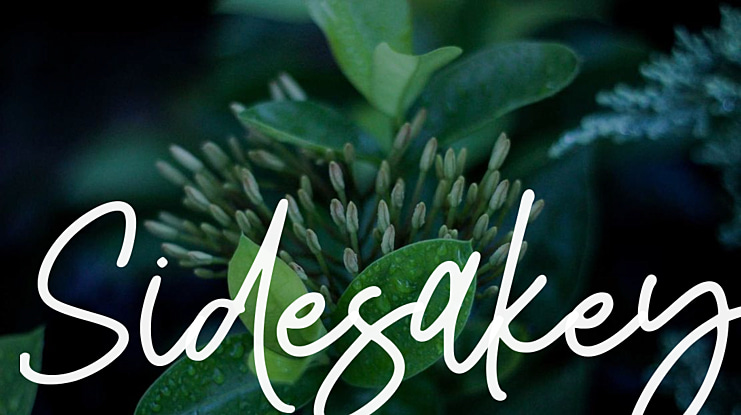Sidesakey Font