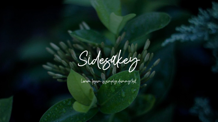 Sidesakey Font