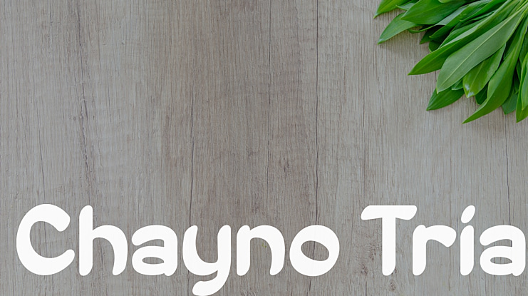 Chayno Trial Font