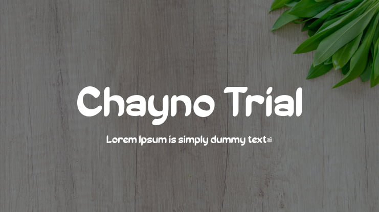Chayno Trial Font