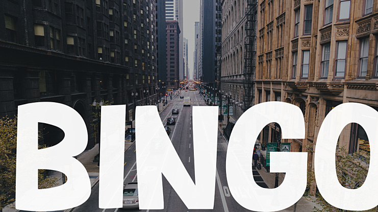 BINGO Font