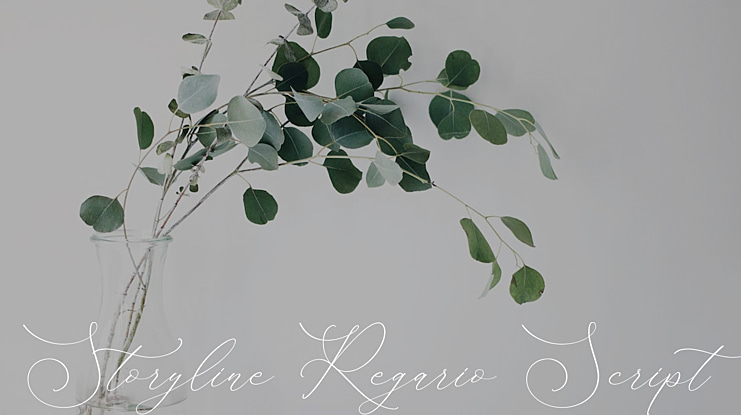 Storyline Regario Script Font Family