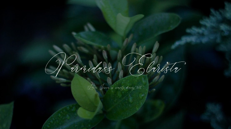 Parmidass Elarista Font