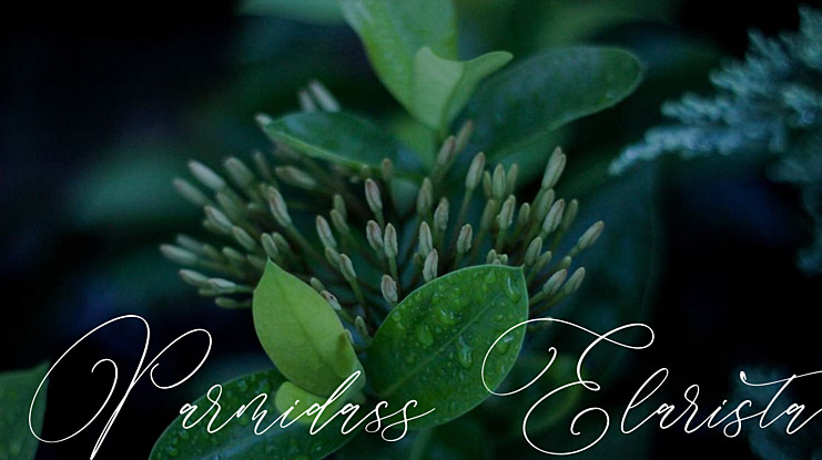 Parmidass Elarista Font