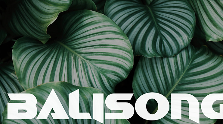Balisong Font Family