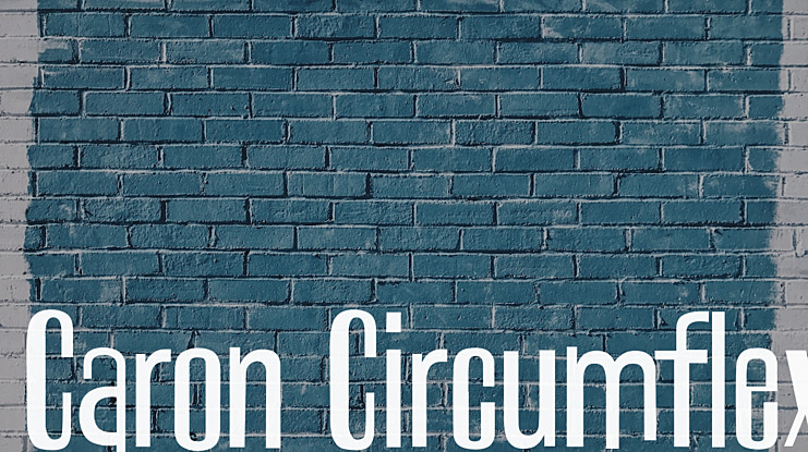 Caron Circumflex Font