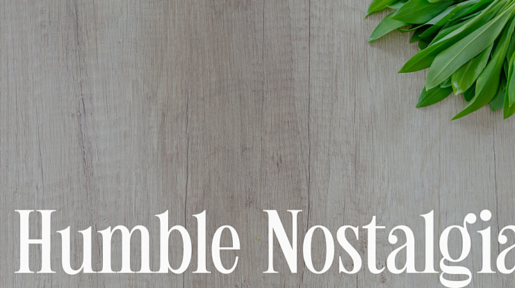 Humble Nostalgia Font