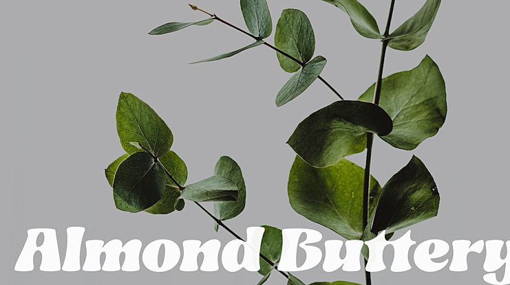Almond Buttery Font