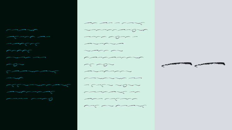 Fenggasta Swash Font Family