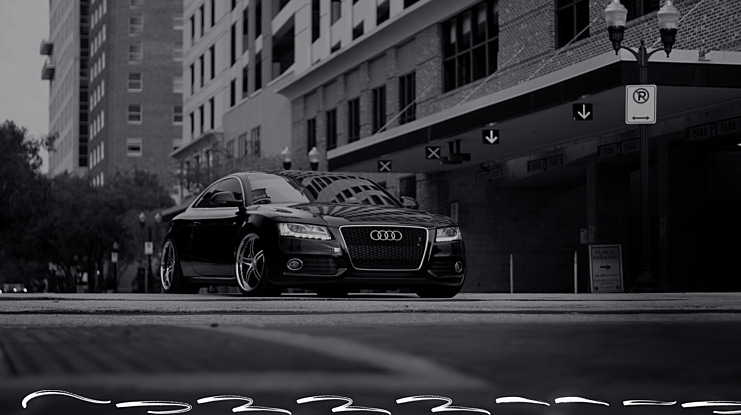 Sellyna Brush Swash Font Family