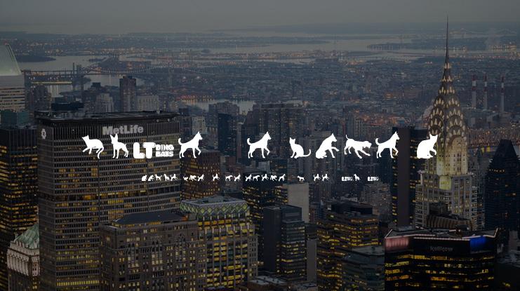 Cats vs Dogs LT Font