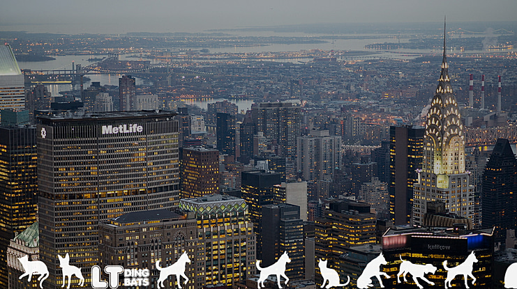 Cats vs Dogs LT Font