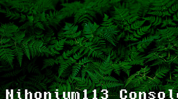Nihonium113 Console Font Family