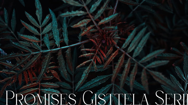 Promises Gisttela Serif Font