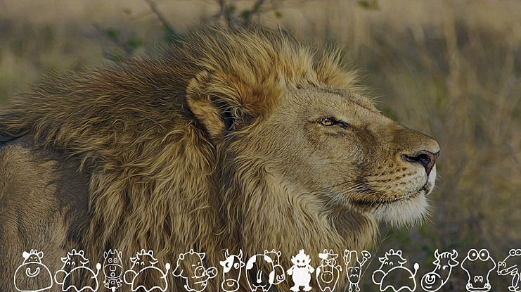 Sakabe Animal 03 Font