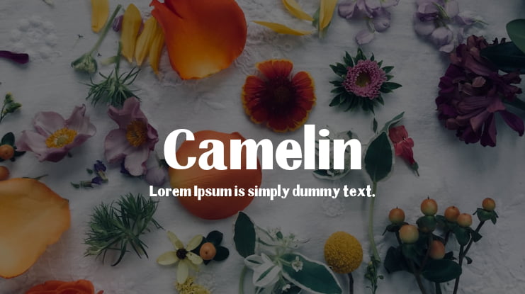 Camelin Font