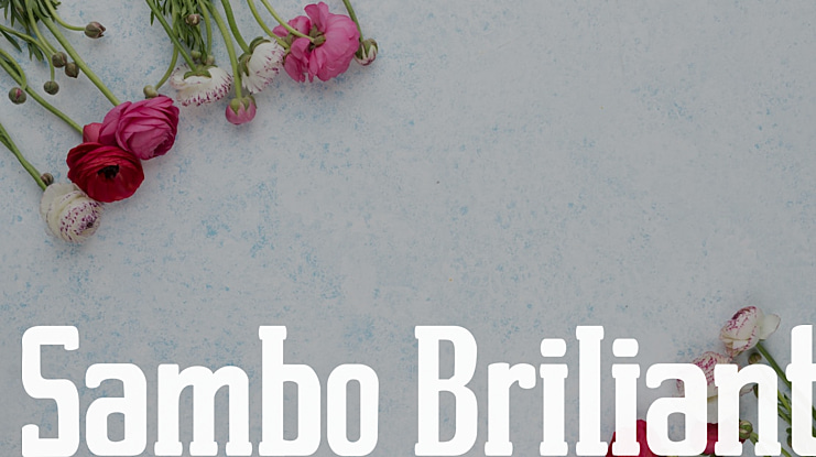 Sambo Briliant Font