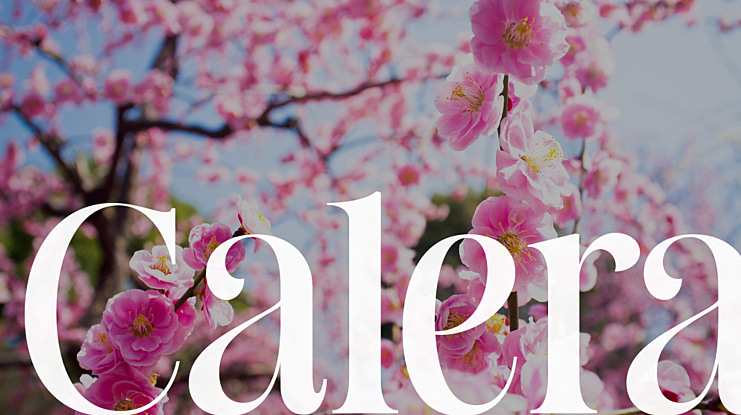 Calera Font
