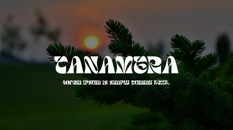 TANAMERA Font