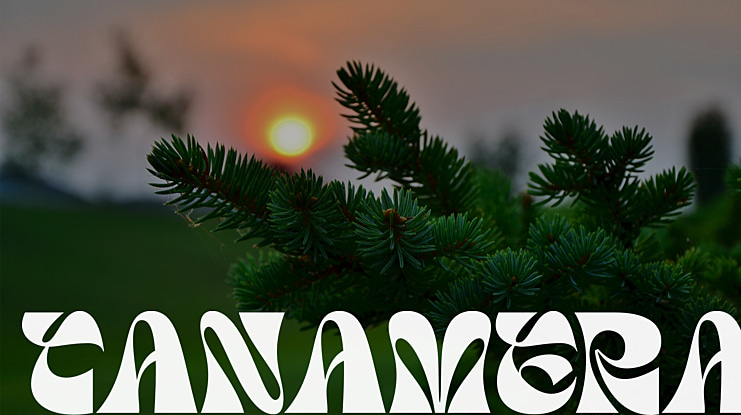 TANAMERA Font