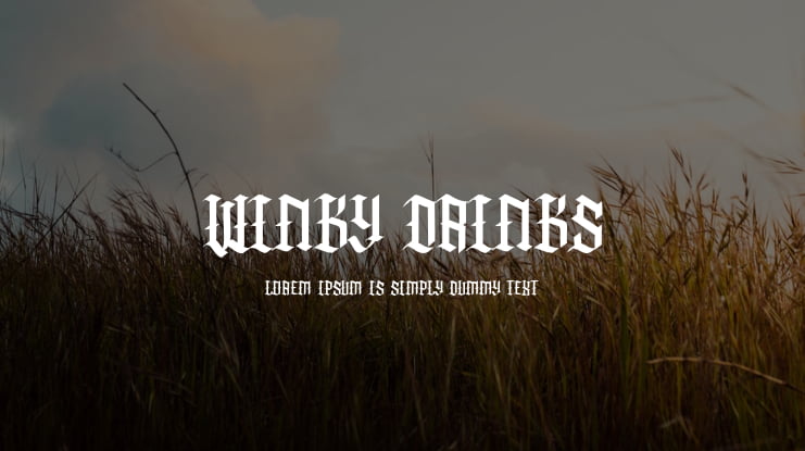 Winky Drinks Font