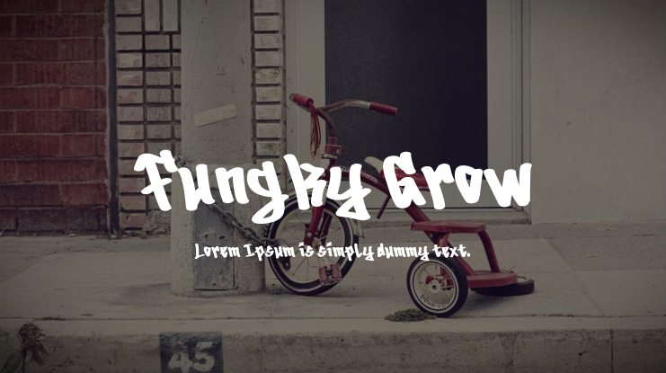 Fungky Grow Font
