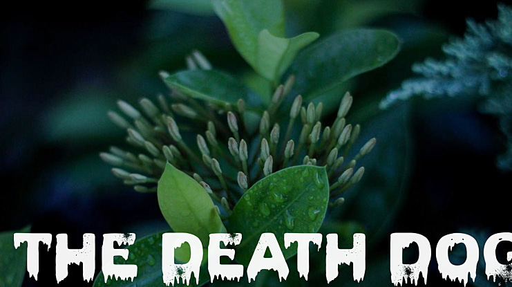 The Death Dog Font