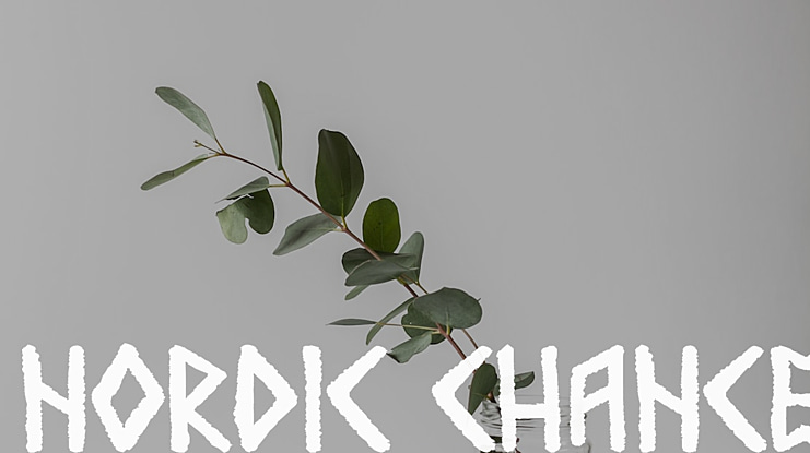 Nordic Chance Font