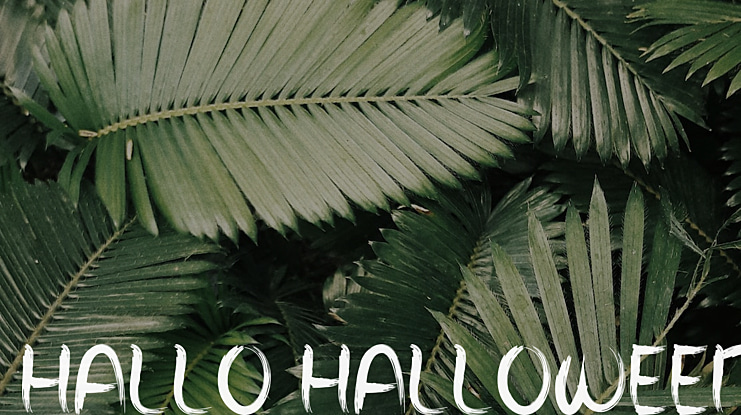 HALLO HALLOWEEN Font