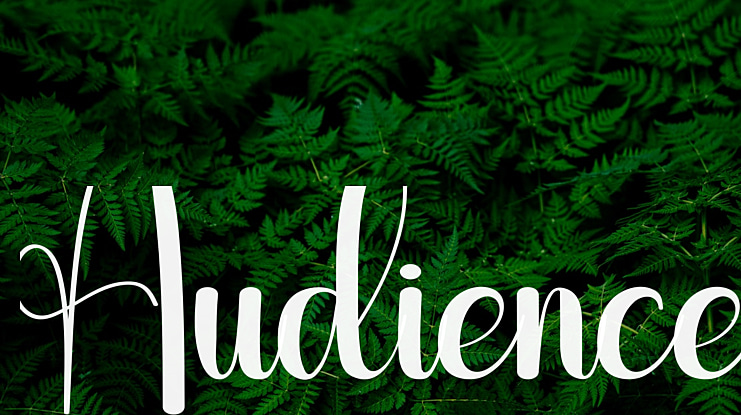 Audience Font