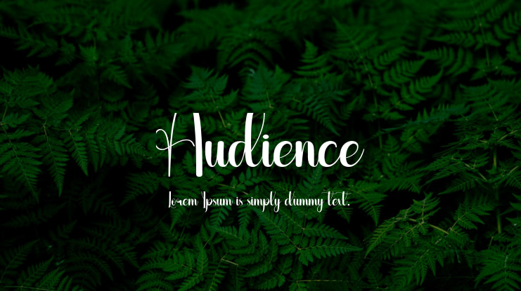 Audience Font