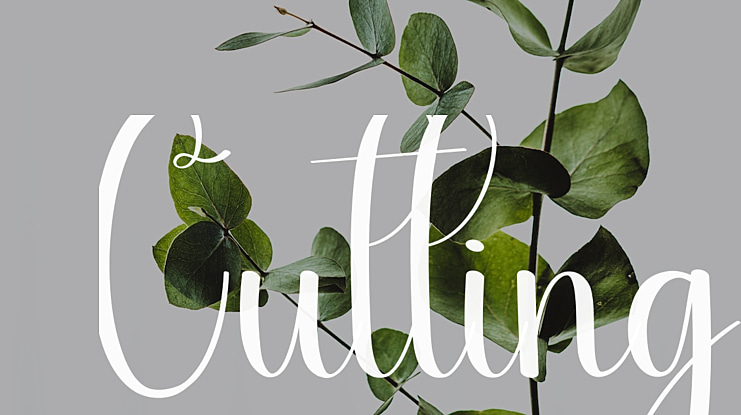 Cutting Font
