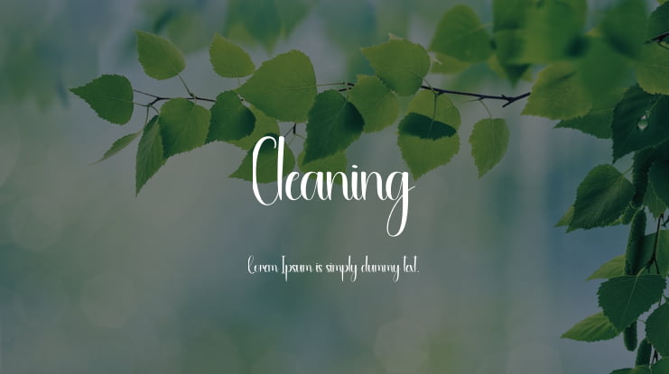 Cleaning Font