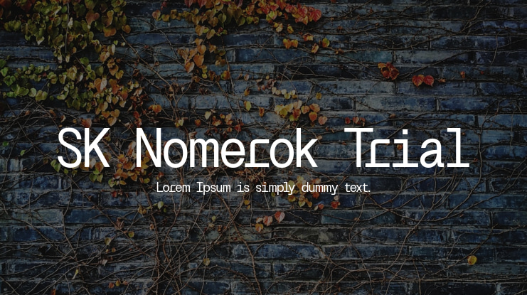 SK Nomerok Trial Font