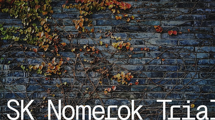 SK Nomerok Trial Font