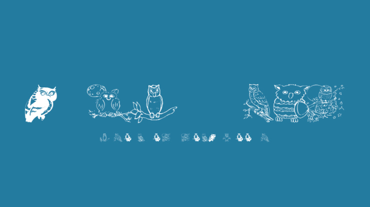 AEZ Owls for Traci Font