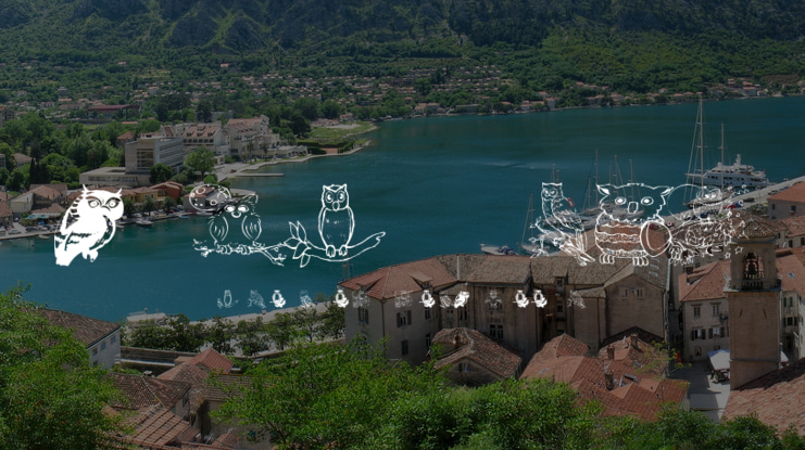 AEZ Owls for Traci Font