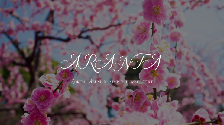 ARANTA Font