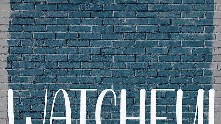 Watchful Font