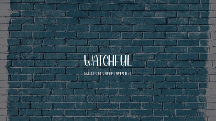 Watchful Font